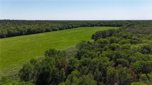 $449,900 | Tbd Tbd Street, Paige, TX 78659