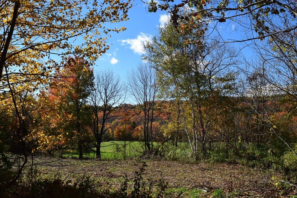 474 Little Mohawk Road Shelburne, MA 01370 - Photo 11 of 30 a view of backyard with green space
