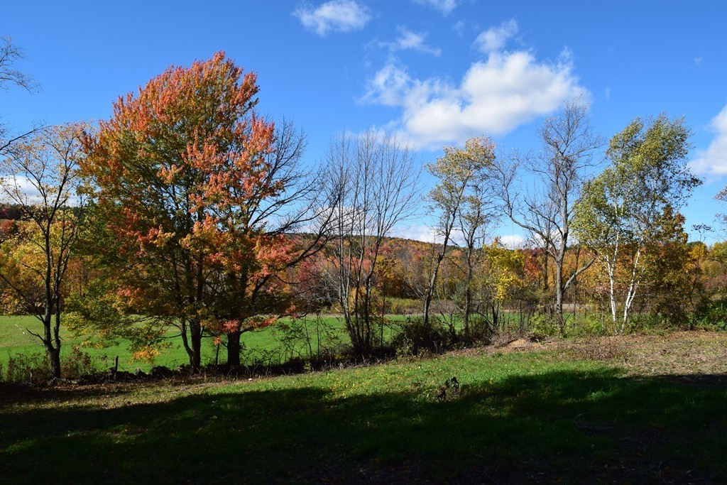 474 Little Mohawk Road Shelburne, MA 01370 - Photo 12 of 30 a view of a park