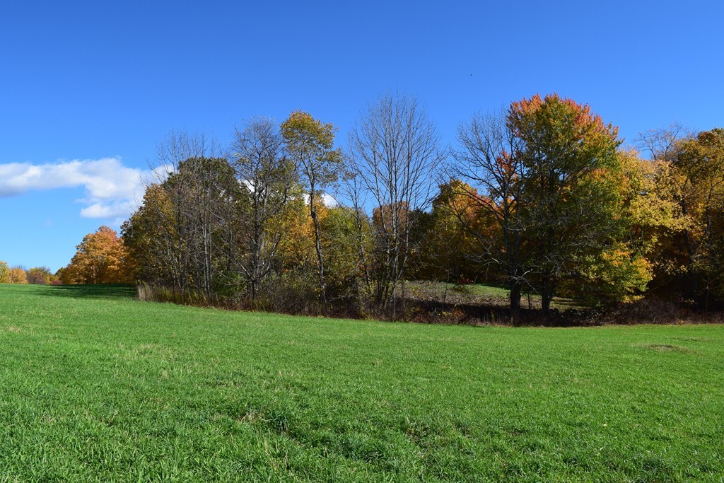 474 Little Mohawk Road Shelburne, MA 01370 - Photo 15 of 30 a view of a field of grass and trees