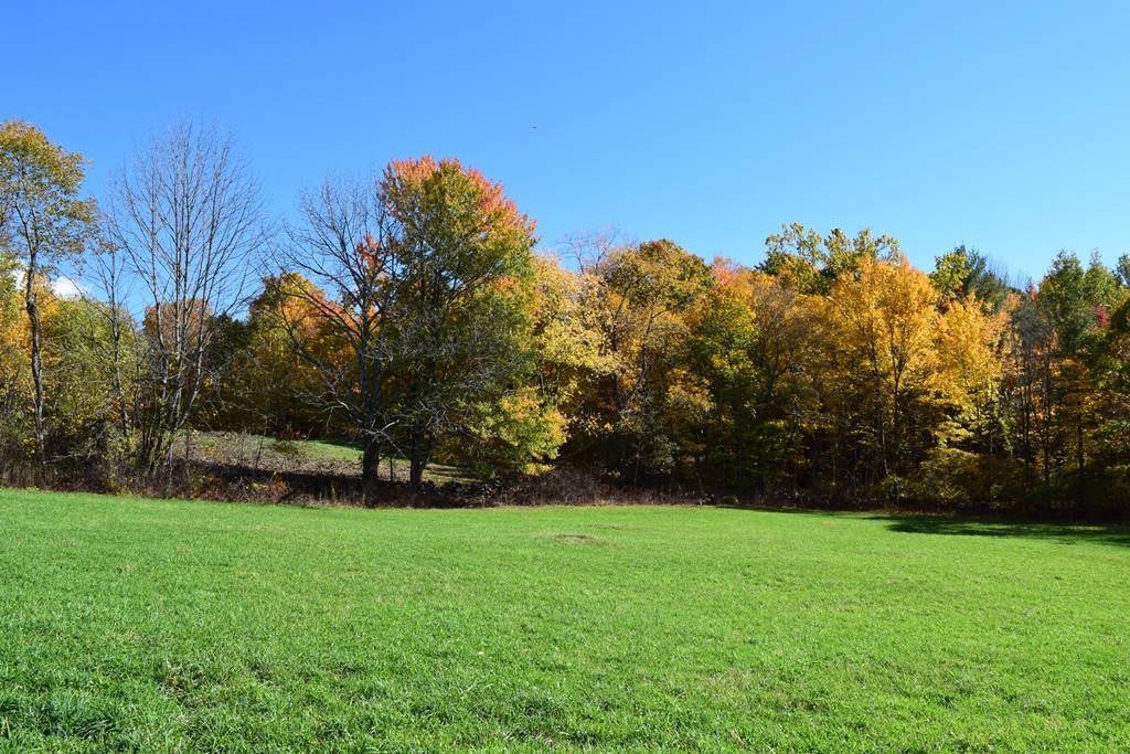 474 Little Mohawk Road Shelburne, MA 01370 - Photo 16 of 30 a view of yard with grass and trees