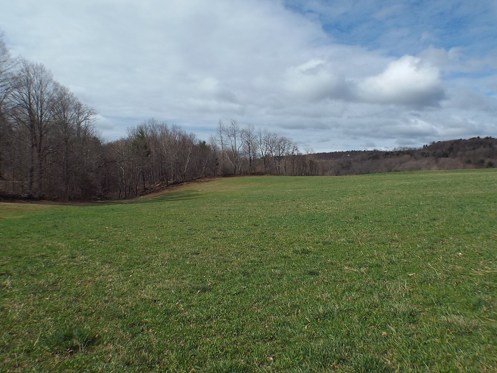 474 Little Mohawk Road Shelburne, MA 01370 - Photo 20 of 30 a view of a field of grass and trees