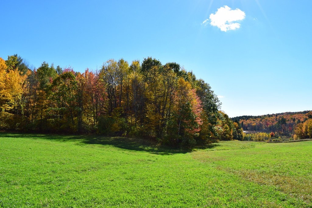 474 Little Mohawk Road Shelburne, MA 01370 - Photo 2 of 30 a view of a golf course with a lake