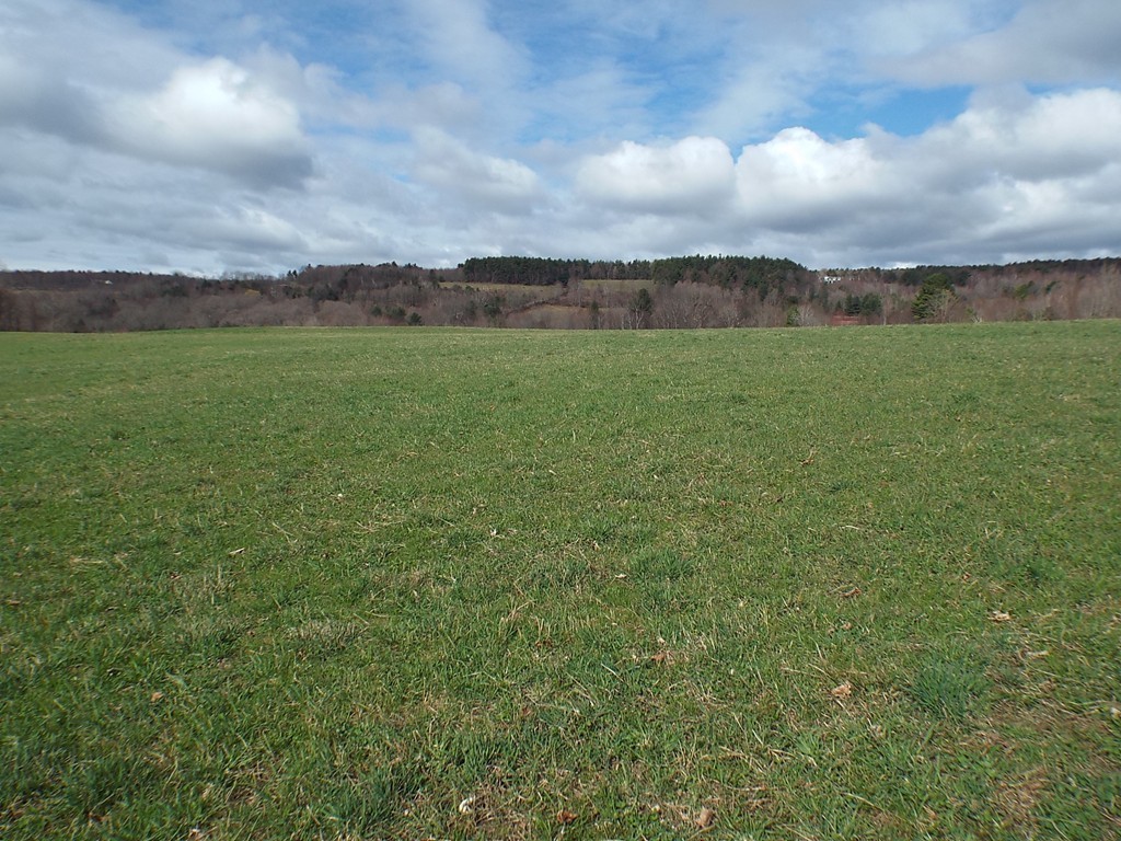 474 Little Mohawk Road Shelburne, MA 01370 - Photo 21 of 30 a view of a field with an ocean