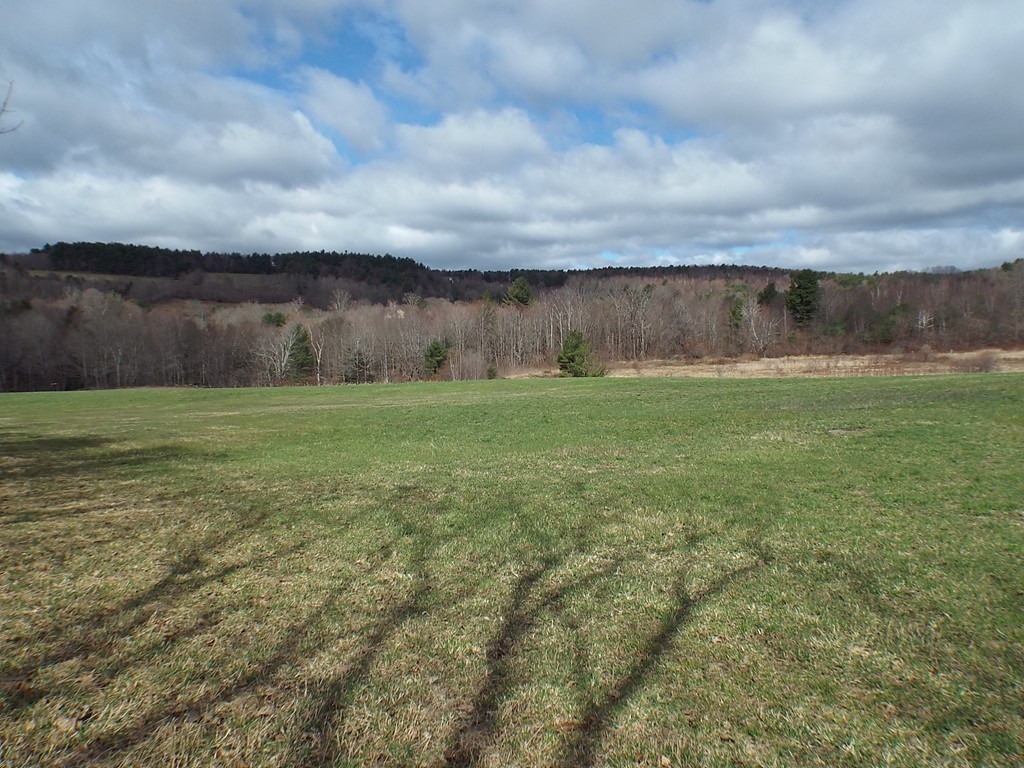 474 Little Mohawk Road Shelburne, MA 01370 - Photo 24 of 30