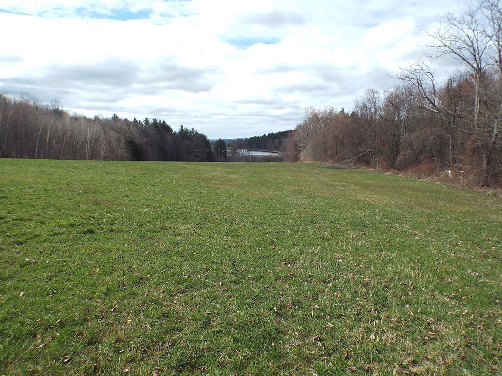 474 Little Mohawk Road Shelburne, MA 01370 - Photo 25 of 30 a view of a big yard with large trees