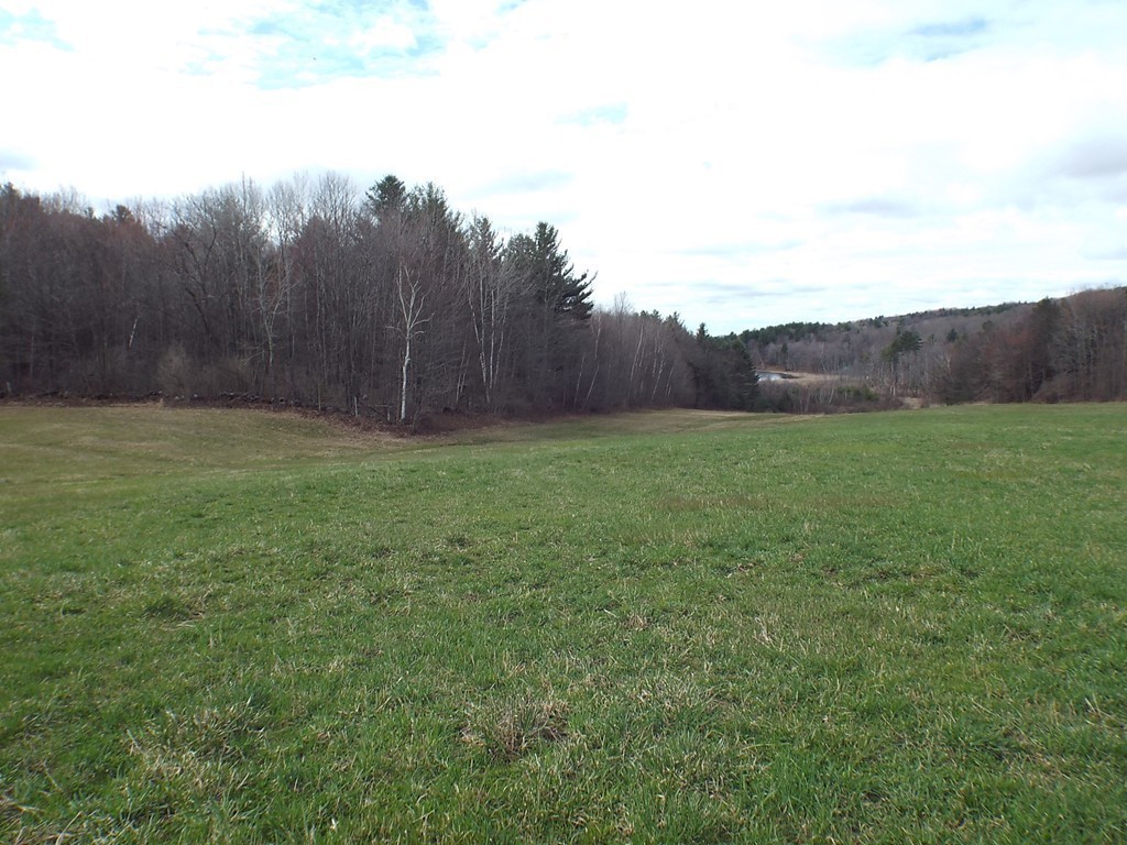 474 Little Mohawk Road Shelburne, MA 01370 - Photo 28 of 30 a view of an outdoor space and a yard