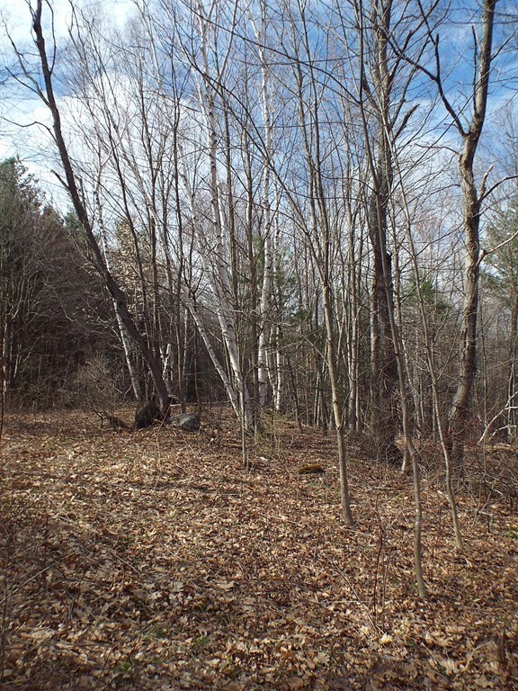 474 Little Mohawk Road Shelburne, MA 01370 - Photo 30 of 30 a view of a yard with trees