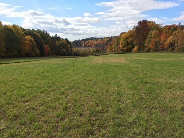 474 Little Mohawk Road Shelburne, MA 01370 - Photo 3 of 30 a view of grassy field with mountain