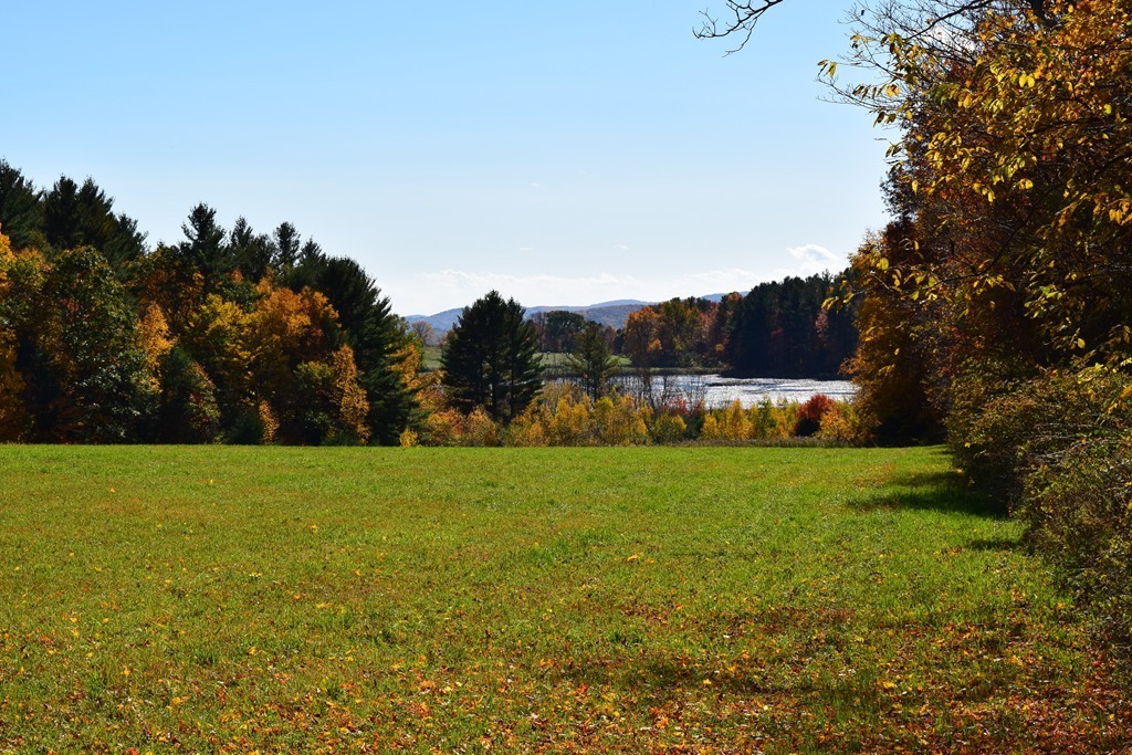 474 Little Mohawk Road Shelburne, MA 01370 - Photo 4 of 30 a view of a big yard with a tree