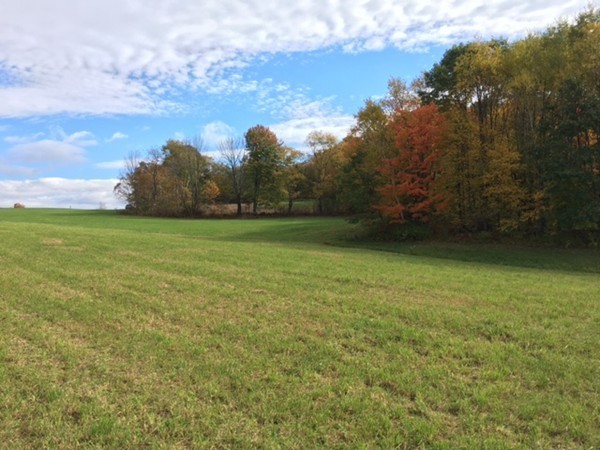 474 Little Mohawk Road Shelburne, MA 01370 - Photo 5 of 30 a view of a field with an trees