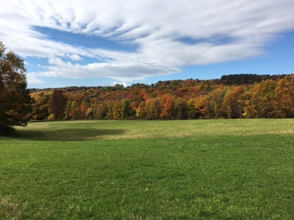 474 Little Mohawk Road Shelburne, MA 01370 - Photo 7 of 30 a view of yard with mountain