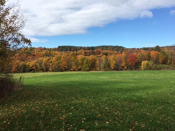 474 Little Mohawk Road Shelburne, MA 01370 - Photo 8 of 30 a view of grassy field with mountain in background