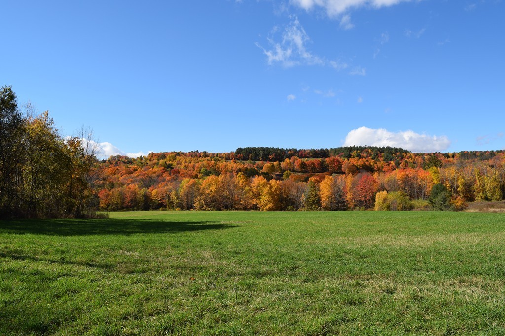 474 Little Mohawk Road Shelburne, MA 01370 - Photo 10 of 30 a view of grassy field with mountain in background