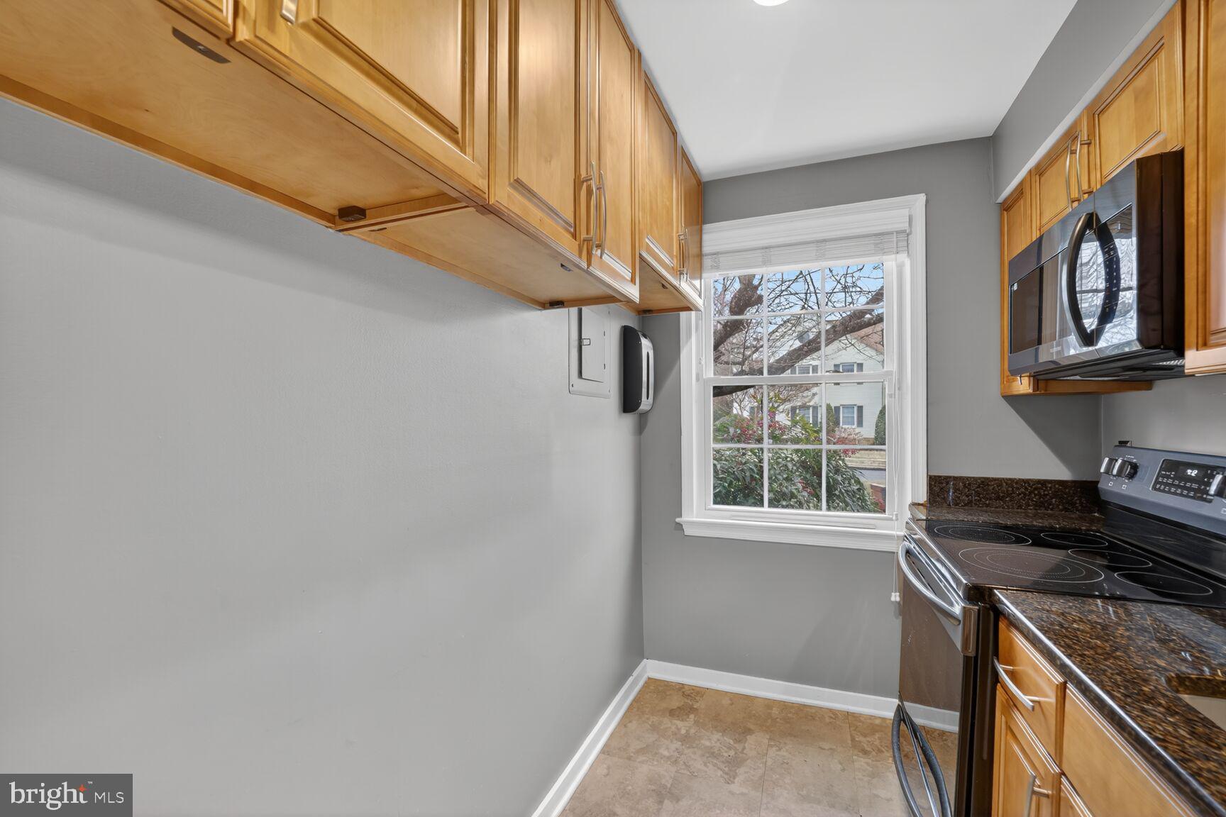 2248 Washington Avenue, Unit 101 Silver Spring, MD 20910 - Photo 14 of 23 a view of a kitchen cabinets and a window