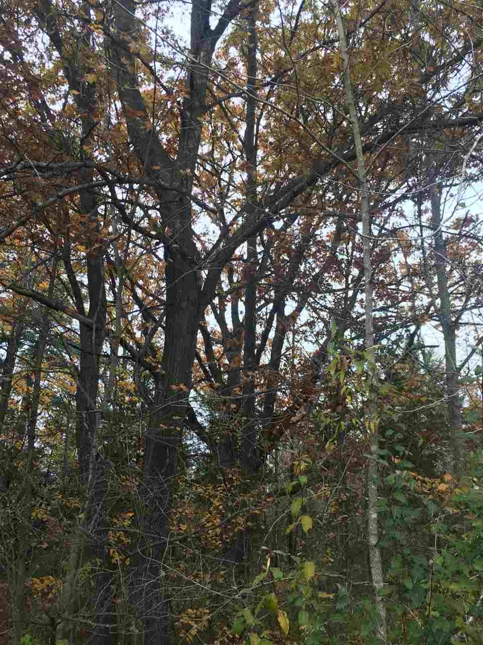 1860 Deep River Road Standish, MI 48658 - Photo 40 of 58 1868975-41.JPG