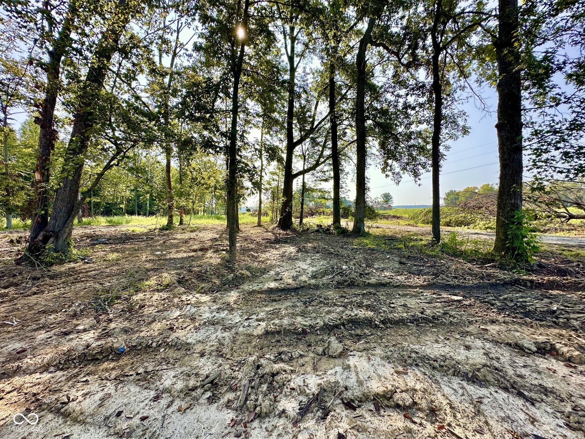 Tract A West Private Rd 775 South Commiskey, IN 47227 - Photo 13 of 19 Gallery Image 13