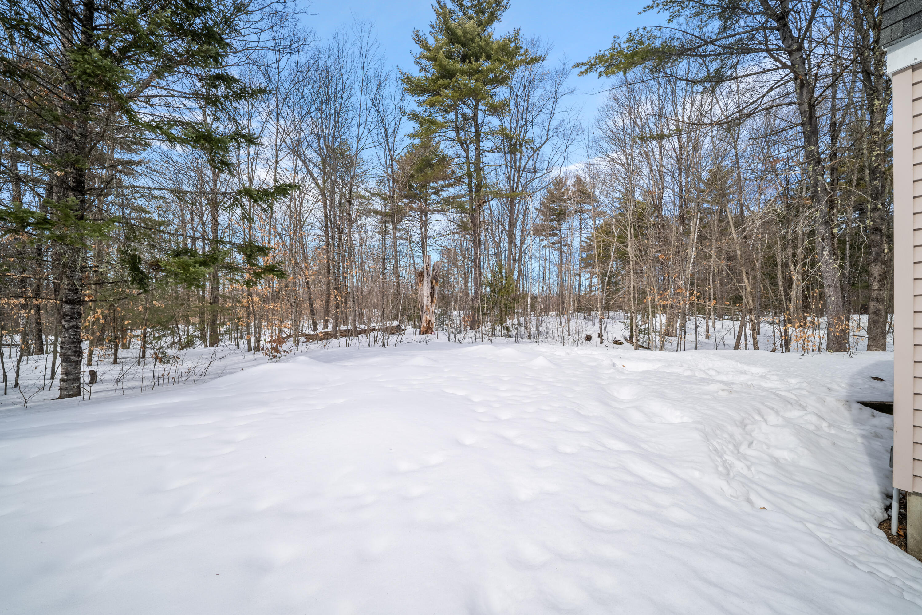 450 Sanborn Road Acton, ME 04001 - Photo 28 of 37 DSC04811