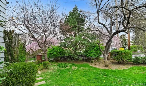 a view of a backyard with large trees