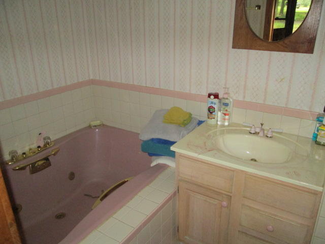 1619 West Creston Road Crossville, TN 38571 - Photo 14 of 21 14 Master bath
