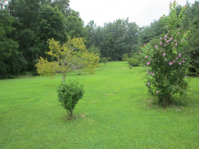 1619 West Creston Road Crossville, TN 38571 - Photo 6 of 21 6 Yard