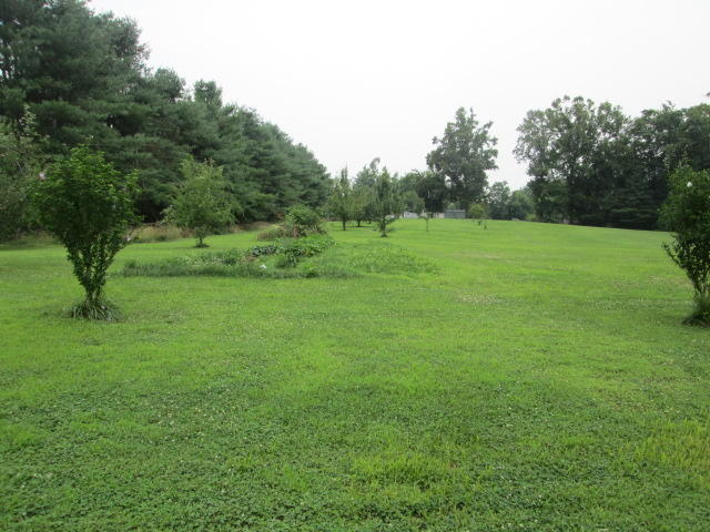 1619 West Creston Road Crossville, TN 38571 - Photo 7 of 21 7 Yard