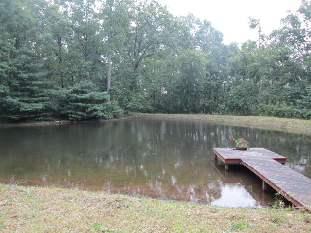1619 West Creston Road Crossville, TN 38571 - Photo 9 of 21 9 Pond