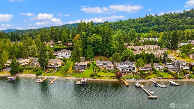a view of a room with gym equipment and large tree