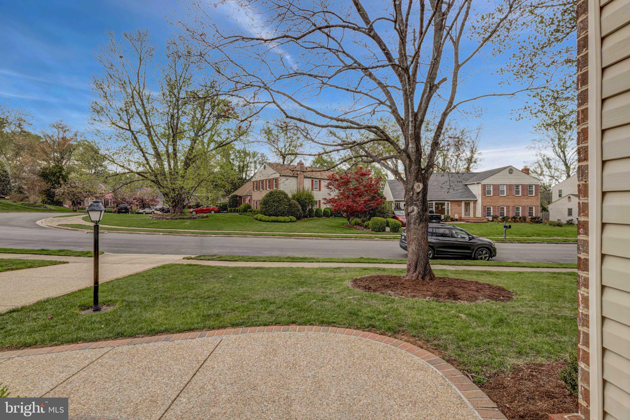 8619 Nanlee Drive Springfield, VA 22152 - Photo 63 of 73 a view of a park