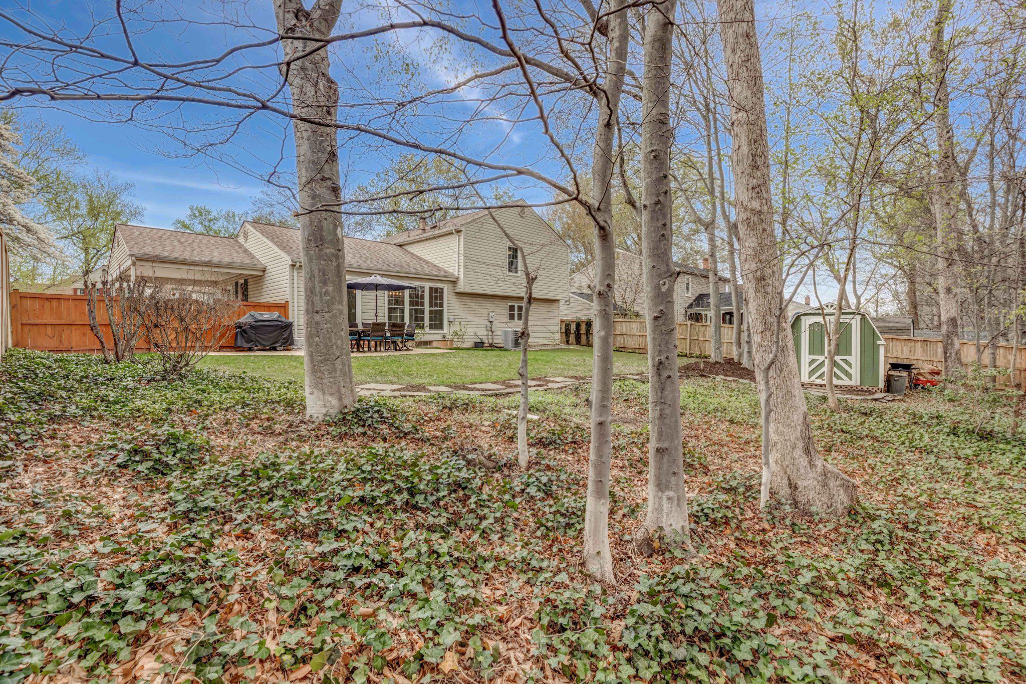 8619 Nanlee Drive Springfield, VA 22152 - Photo 71 of 73 Backyard retreat in nature.