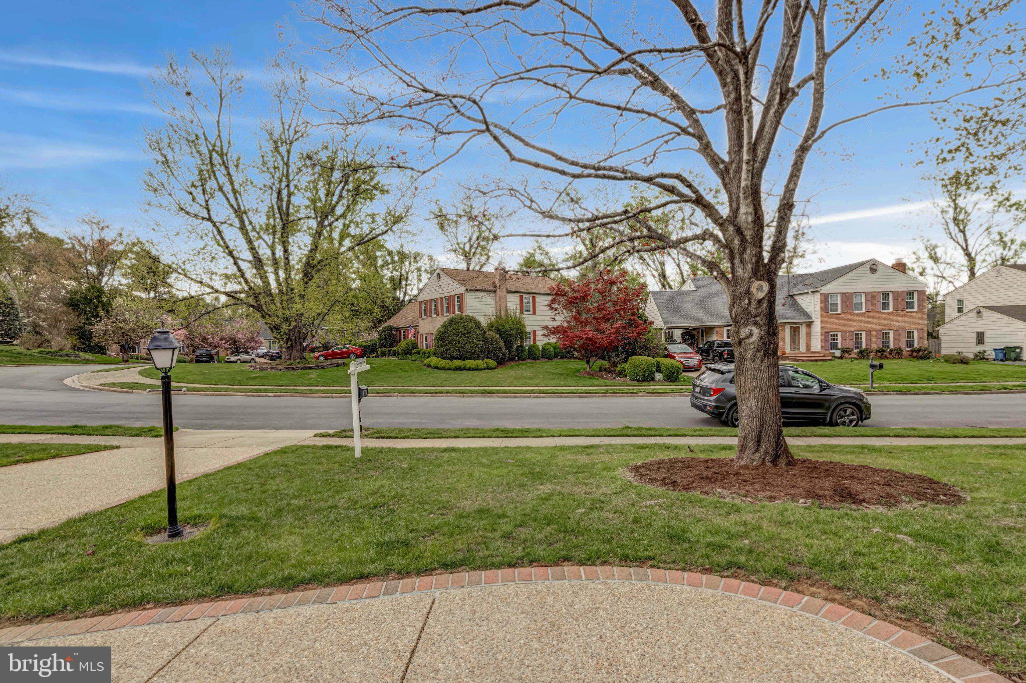 8619 Nanlee Drive Springfield, VA 22152 - Photo 72 of 73 a view of a park with large trees