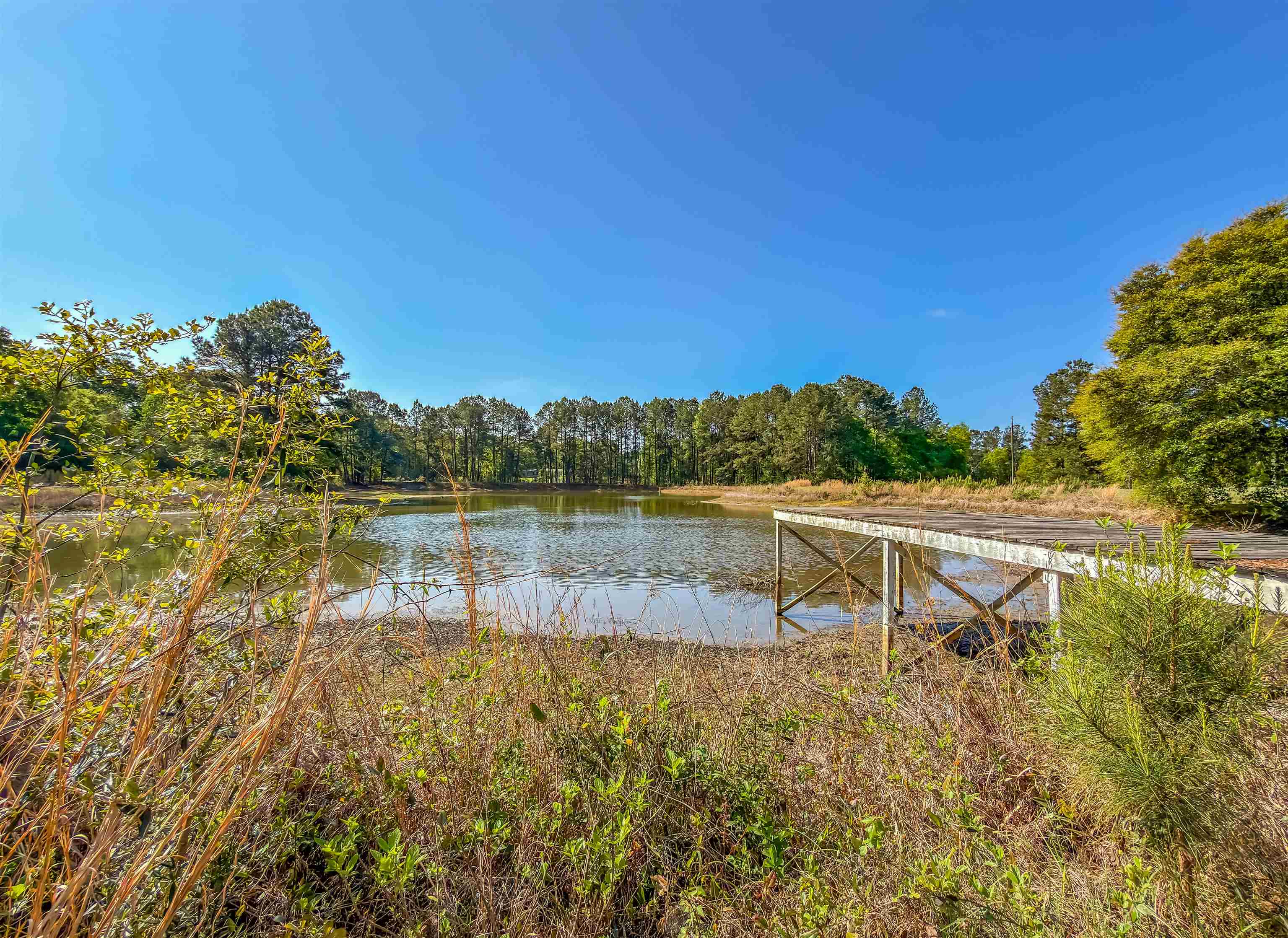 14173 State Rte 188 Coolidge, GA 31738 - Photo 52 of 63