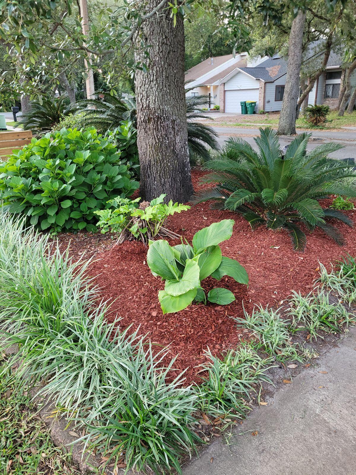 6 Cedar Ridge Way Niceville, FL 32578 - Photo 34 of 34 ME88bb5f67af8a3e0c07e286cacd0dbdde