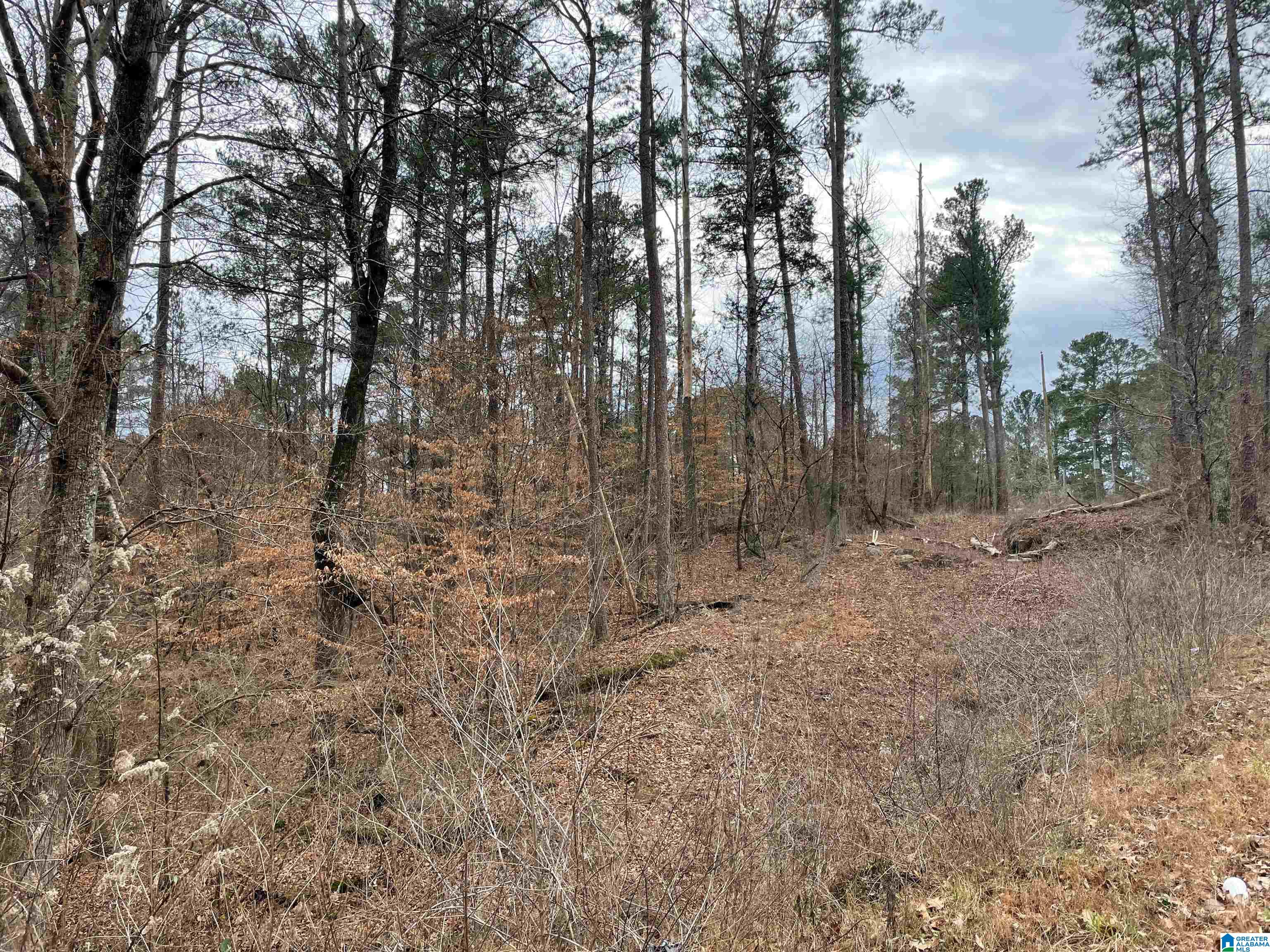 0 Clevet Springs Road, Unit 2 24 ACRES Hayden, AL 35079 - Photo 7 of 8