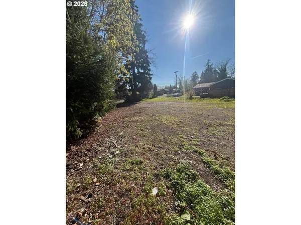 a view of a yard