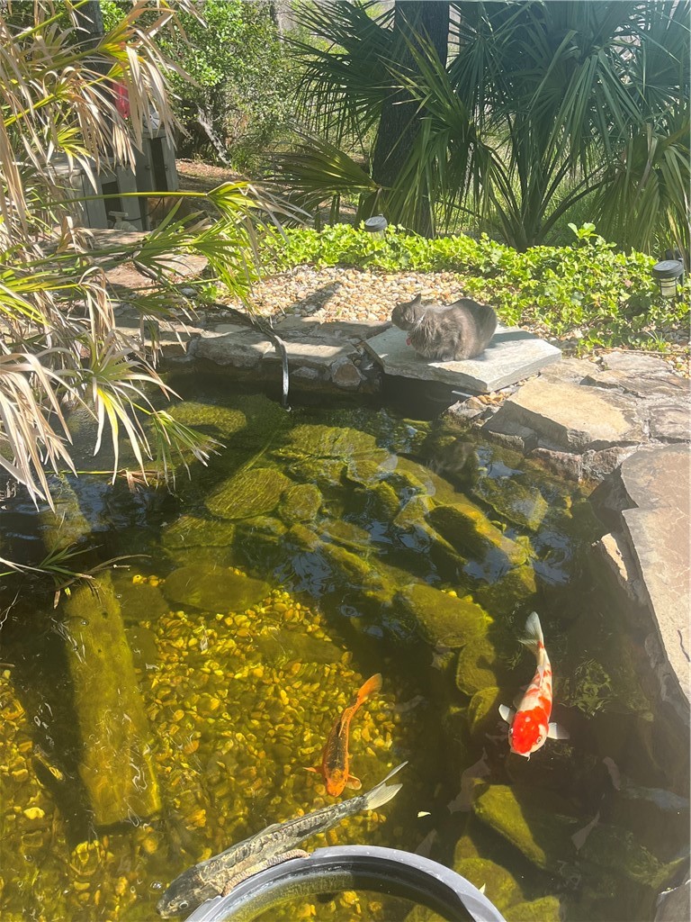 151 Laurel Marsh Way Kingsland, GA 31548 - Photo 46 of 95