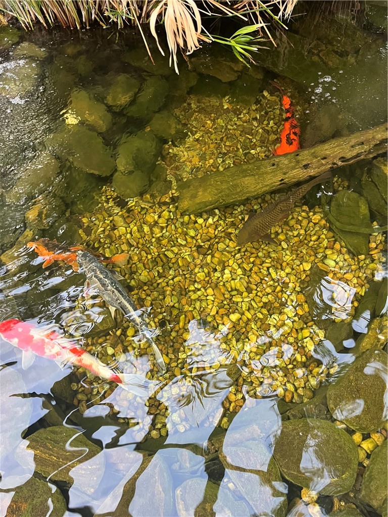 151 Laurel Marsh Way Kingsland, GA 31548 - Photo 47 of 95