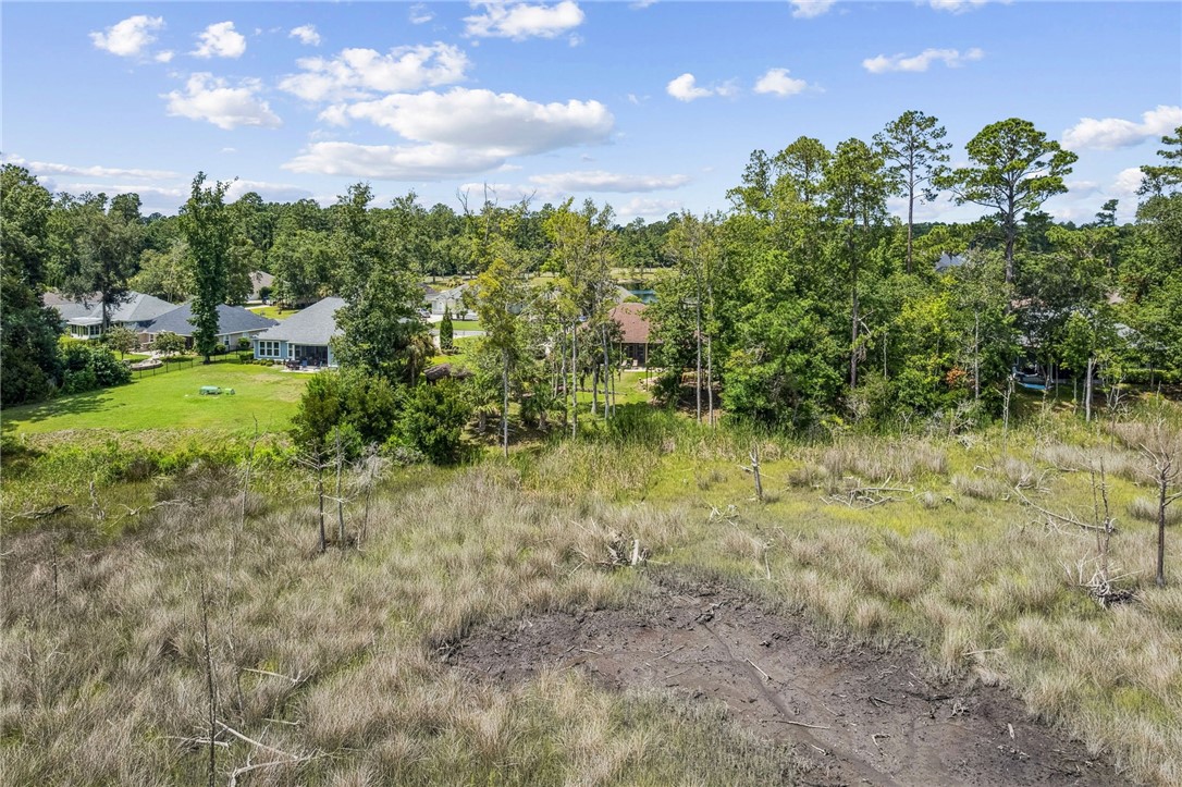 151 Laurel Marsh Way Kingsland, GA 31548 - Photo 72 of 95