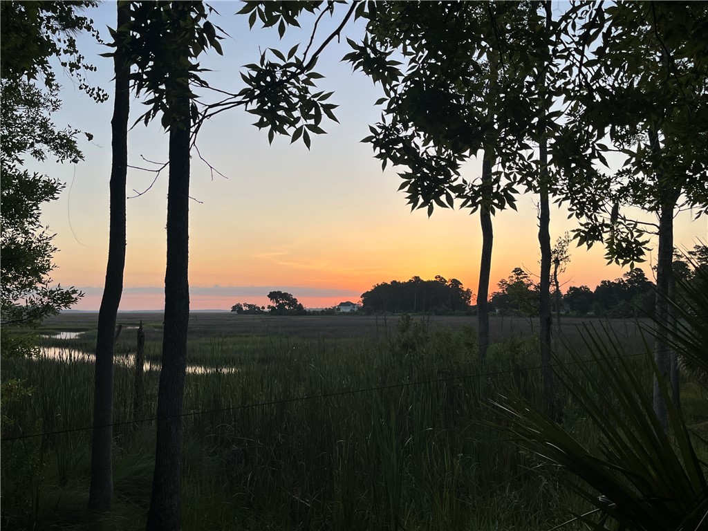 151 Laurel Marsh Way Kingsland, GA 31548 - Photo 95 of 95