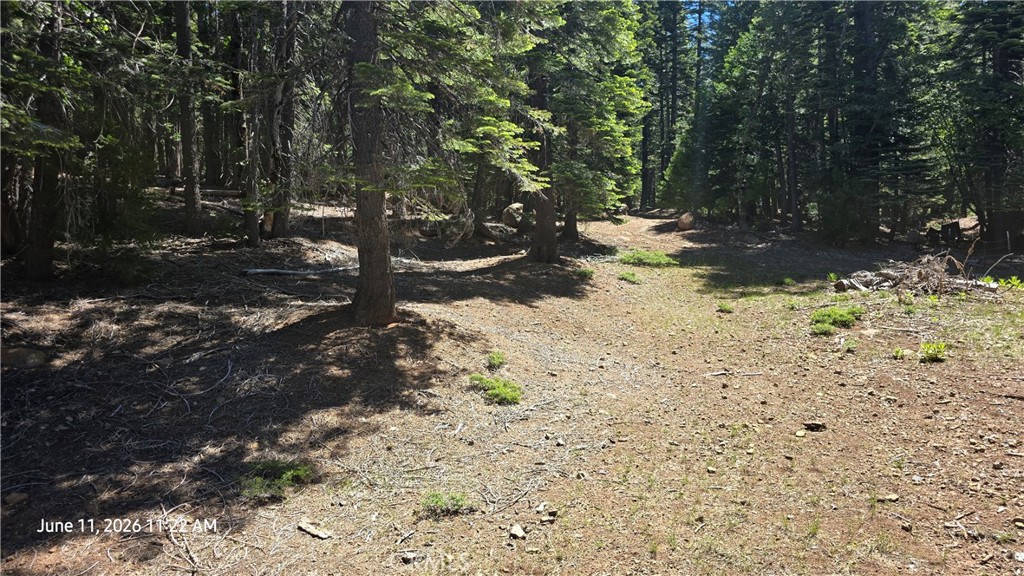 0 Fish Creek Forest Ranch, CA 95942 - Photo 42 of 43 Main road to cabins