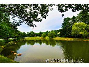 1 Pine Ridge Trail Arden, NC 28704 - Photo 24 of 24 Gallery Image 24