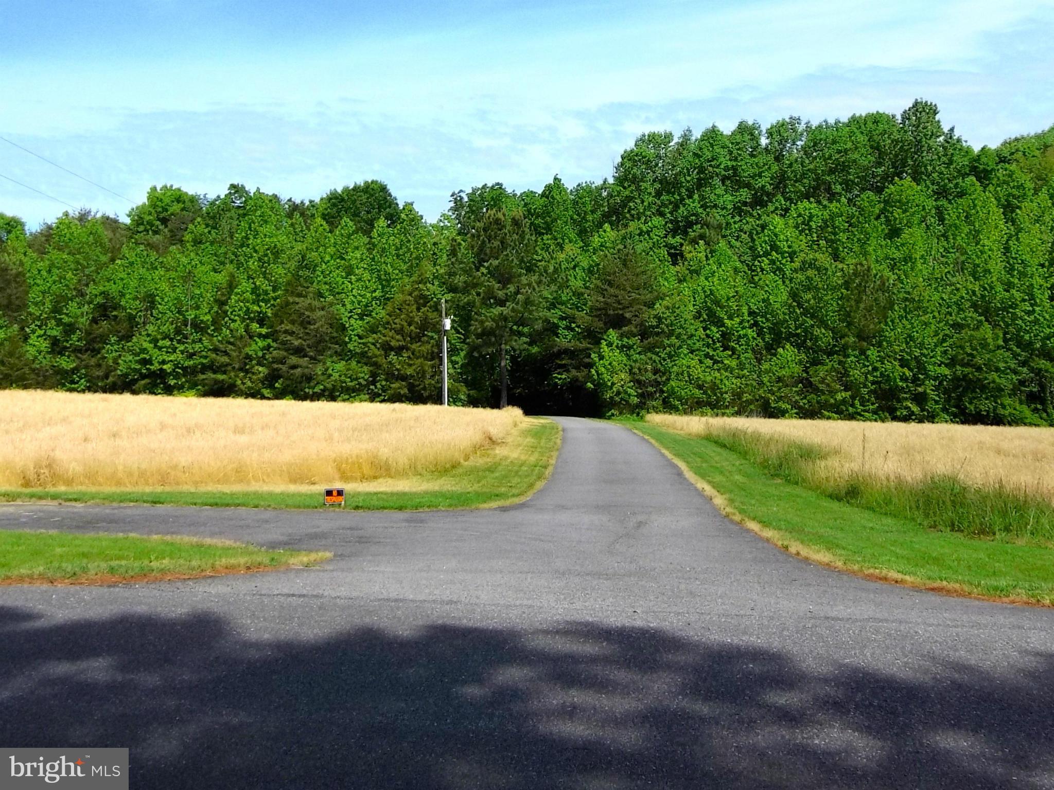 11037 Post Oak Road Spotsylvania, VA 22551 - Photo 30 of 30 Driveway leading to property through the trees