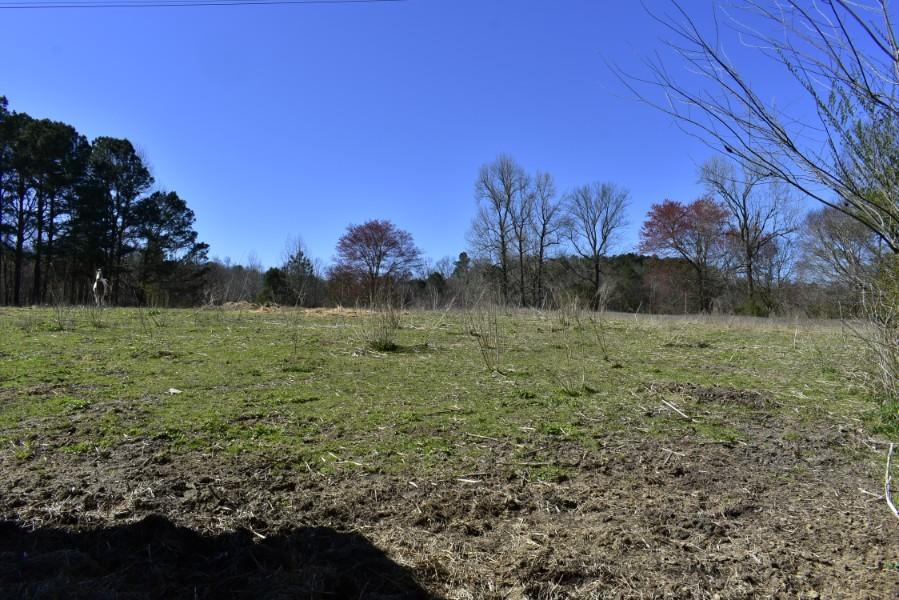 160 Kittle Road Ringgold, GA 30736 - Photo 3 of 9 _DSC0337