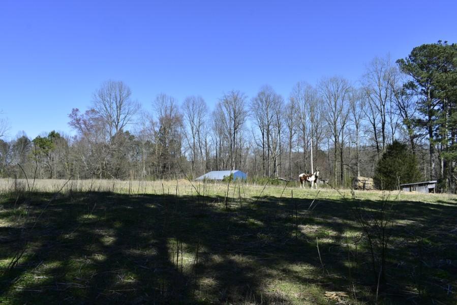 160 Kittle Road Ringgold, GA 30736 - Photo 9 of 9 _DSC0343