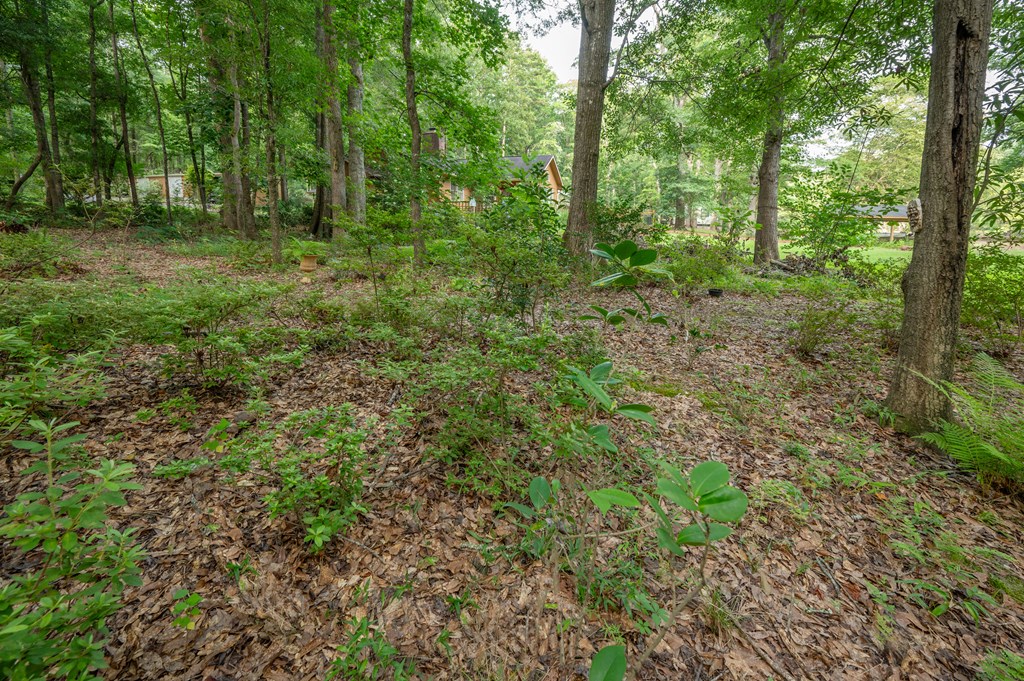 285 Dollar Road Hamilton, GA 31811 - Photo 49 of 64