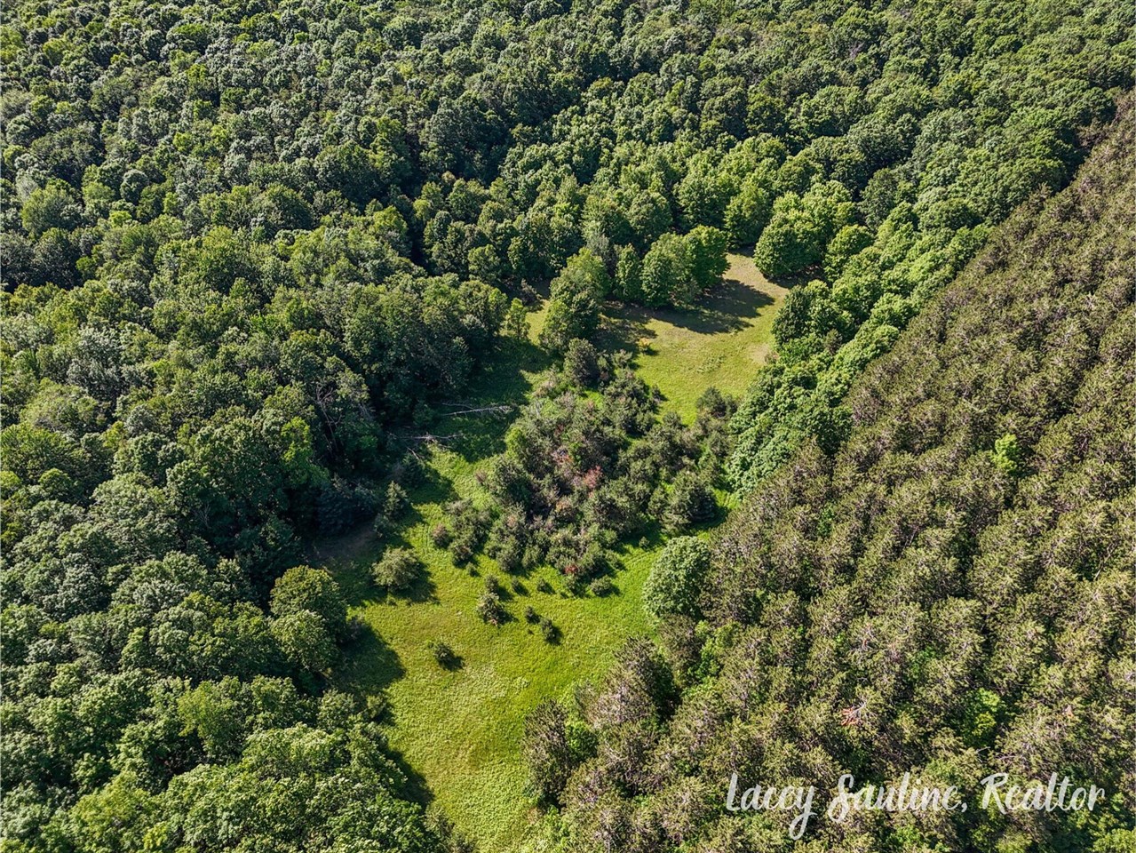 0 West Finkle Road Cadillac, MI 49601 - Photo 15 of 21