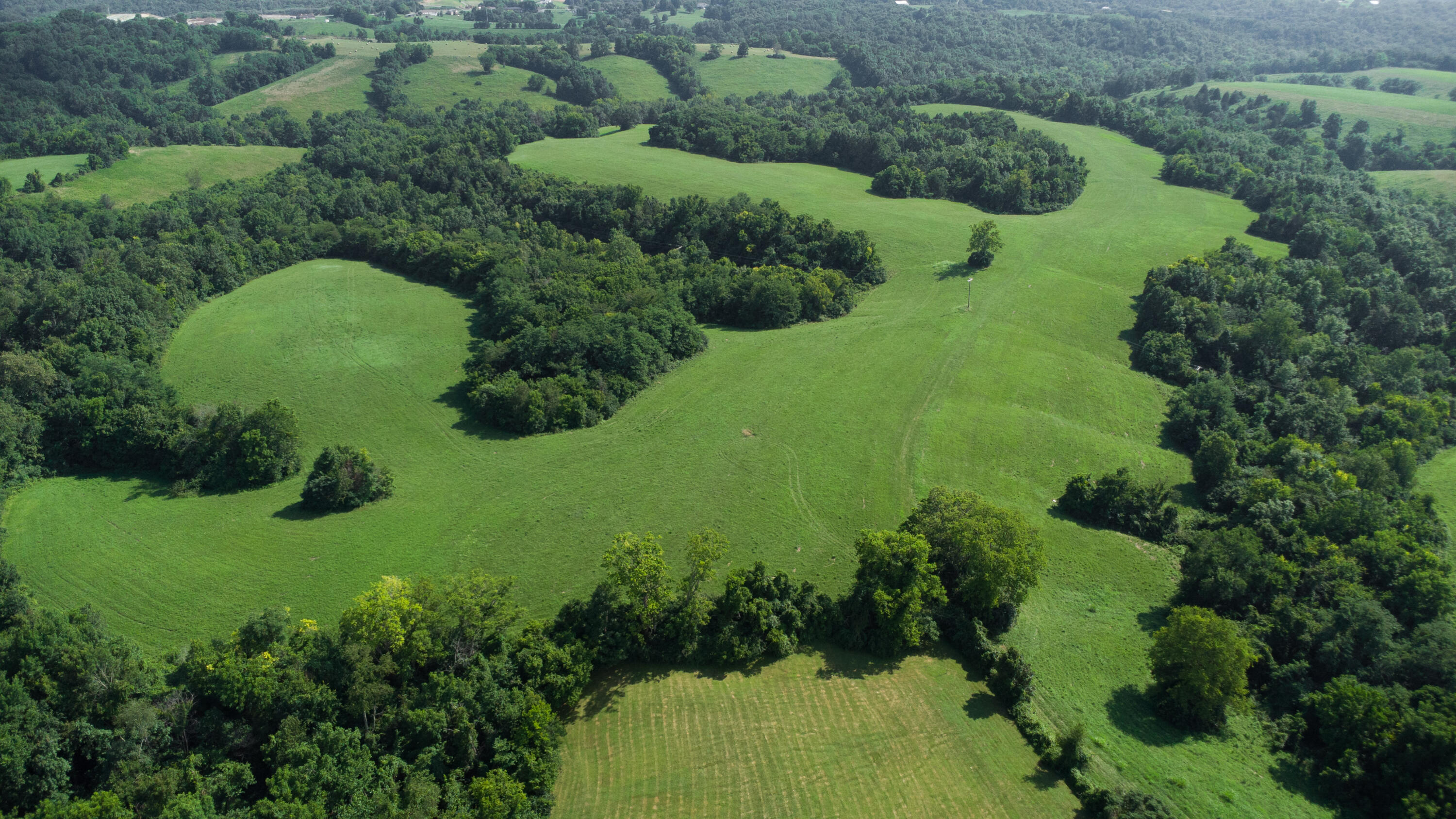 0 Baton Rouge Tract 1 Road Williamstown, KY 41097 - Photo 3 of 25