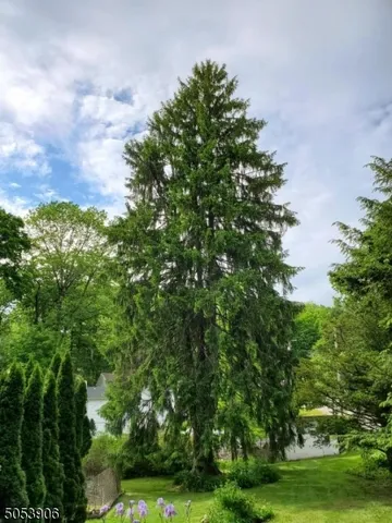 a view of a large yard with lots of green space