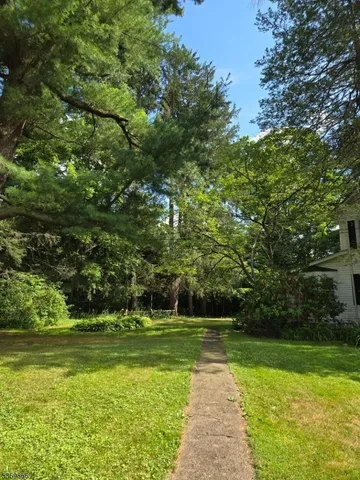 a view of a park with large trees