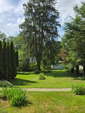 a view of a park with large trees